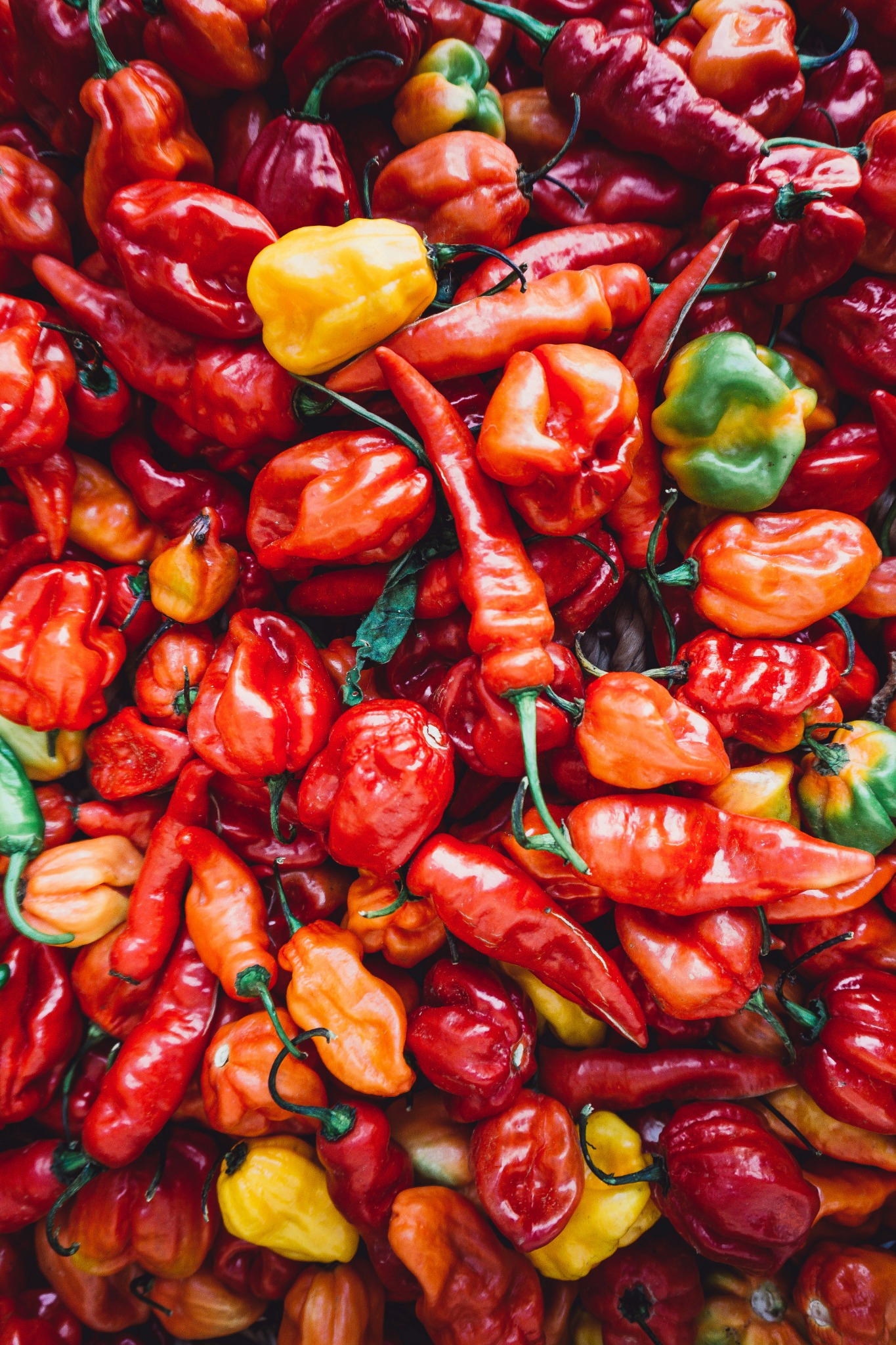 The Sailor’s Pepper Debt